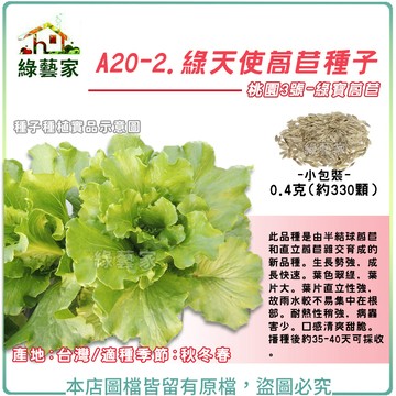 A20-2.綠天使萵苣種子0.4克(約330顆)桃園3號綠寶萵苣 生長勢強，成長快速。口感清爽、甜脆【綠藝家】