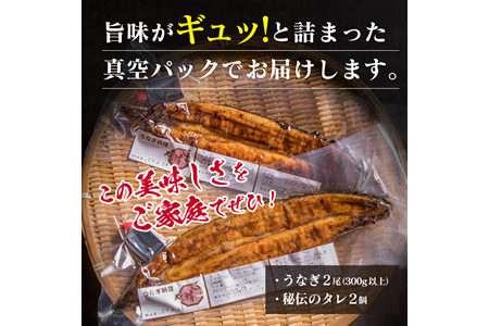 職人手焼きうなぎ蒲焼2尾(計260g以上)　鰻　ウナギ　魚　魚介　国産 CD40-23