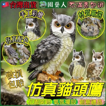 【園藝人】貓頭鷹 驅鳥 動物模型 禮物 仿真貓 花園 擺飾 盆景 庭院 庭院擺飾 owl 假鳥 仿真貓頭鷹 貓頭鷹模型