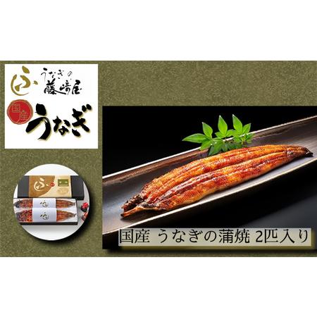 ふるさと納税 国産 うなぎの蒲焼 2匹入り  うなぎ 鰻 蒲焼 国産 うなぎ 鰻 蒲焼 国産うなぎ うなぎの蒲焼 鰻の蒲焼 徳島県鳴門市