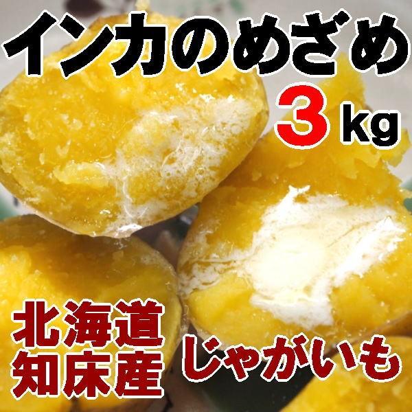 インカのめざめ 3kg 新じゃがいも 北海道産 ジャガイモ 送料無料