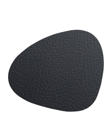 Linddna Curve Coaster