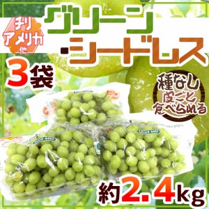 種なしぶどう ”グリーンシードレス” 3袋 約2.4kg ちょっと訳あり チリ・アメリカ産他 青ぶどう 送料無料