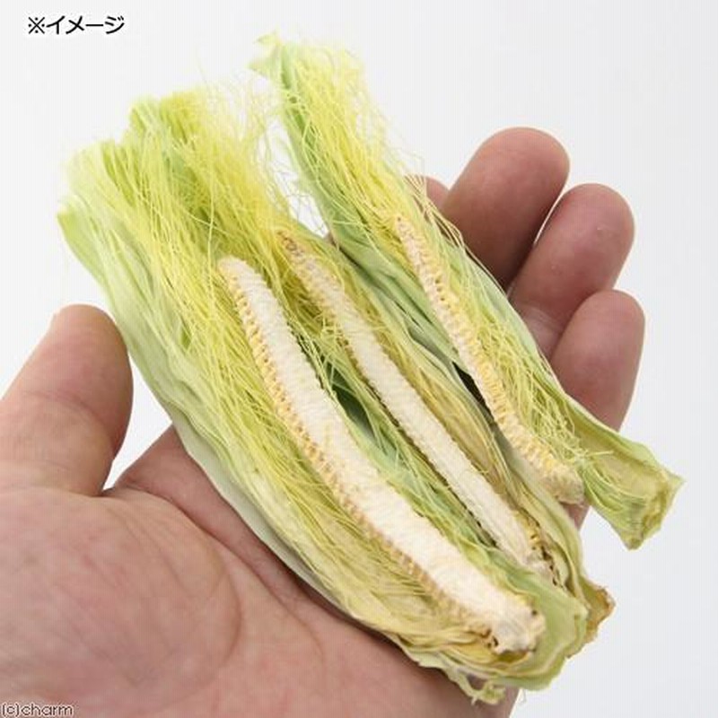 国産 ヤングコーン ３０ｇ 小動物のおやつ 国産 無添加 無着色 通販 LINEポイント最大0.5%GET LINEショッピング