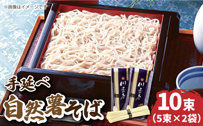 手延べ 自然薯 そば 500g（250g×2）   蕎麦 麺 長崎   南島原市   川上製麺 [SCM021]