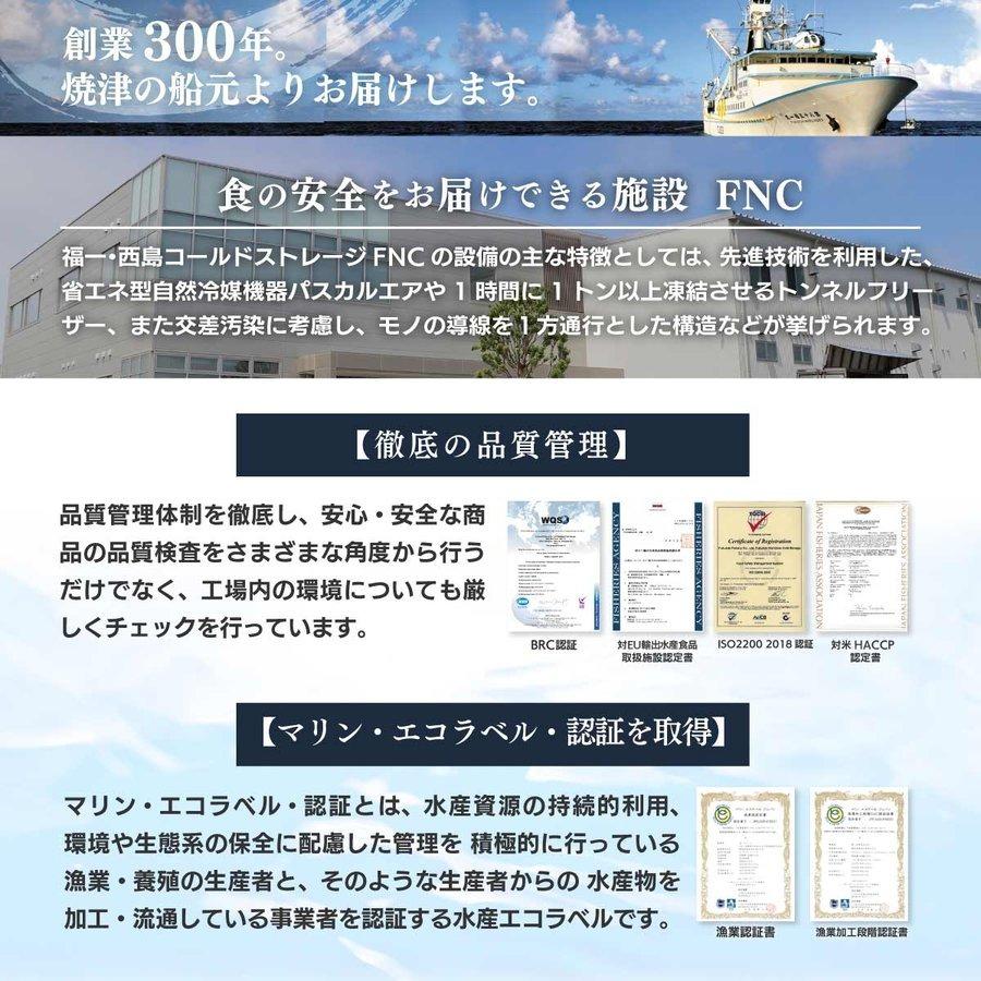 マグロ 刺身  訳あり 年末 年始 ごちそう 福袋 2大まぐろ中トロ食べ比べ福袋 約15人前 86116