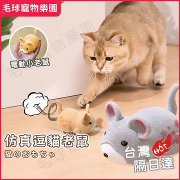 台灣現貨速發 逗貓玩具 貓玩具 逗貓棒 自動躲避鼠 玩具老鼠 解悶自嗨 自動逗貓老鼠 老鼠貓玩具 寵物玩具 寵物電動玩具