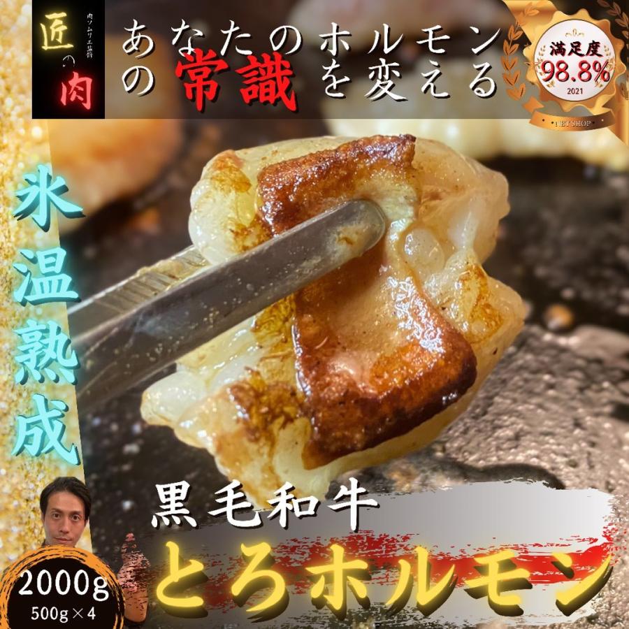 もつ鍋 黒毛和牛 ホルモン 2kg 500g 4パック 氷温熟成 国産 牛 焼肉 小腸 内臓 送料無料