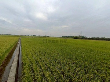 東山吉貝耍部落好山好水休閒養生農地2｜台南市東山區吉貝耍