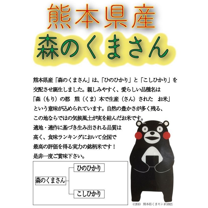 お米 米 20kg 玄米 熊本県産 森のくまさん 新米 令和5年産 あすつく 5kg4個 くまもとのお米 富田商店 とみた商店