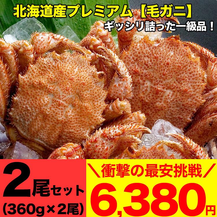 毛ガニ 360g前後×2尾 プレミアム北海道産(毛蟹 毛がに kegani けがに かに カニ味噌 蟹味噌)