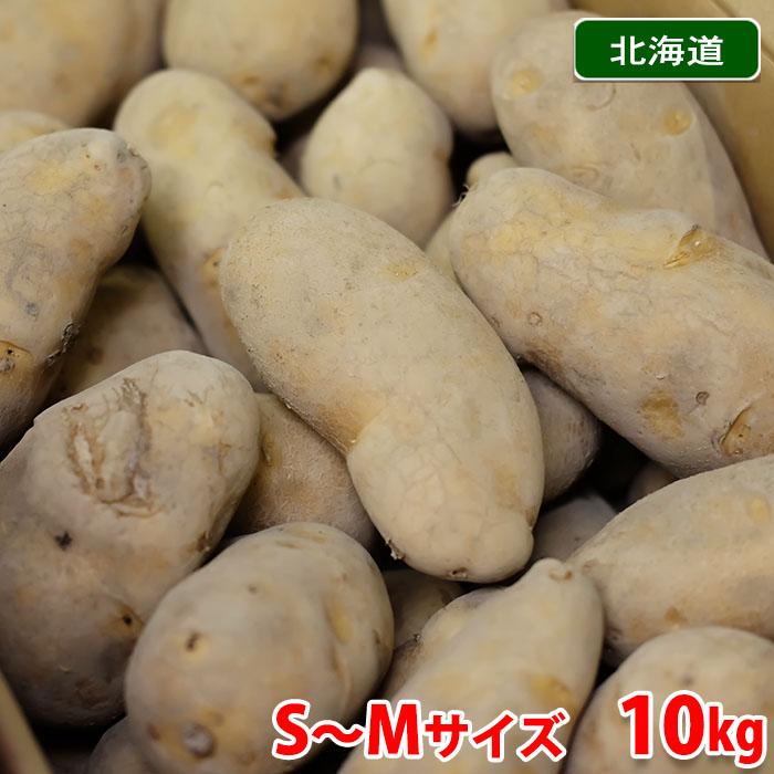 北海道産 メークイン 秀品 S〜Mサイズ 10kg（箱）