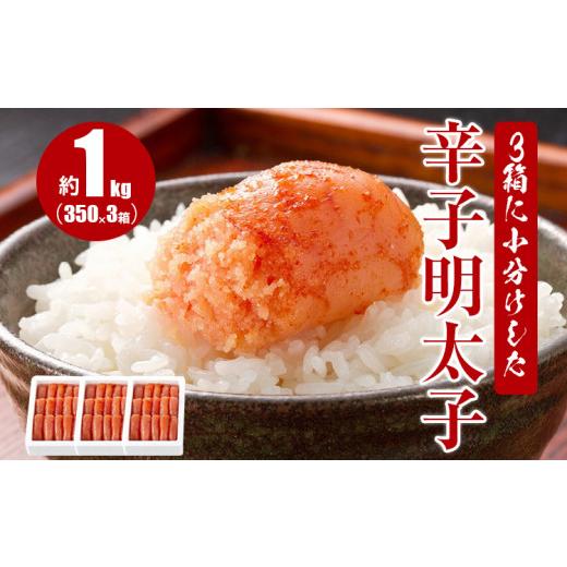 ふるさと納税 福岡県 田川市 3箱に小分けした辛子明太子 350g×3箱(計1.05kg)