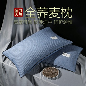 全蕎麥枕頭夏季家用雙人一對裝高枕護頸椎枕助睡眠專用枕芯不塌陷