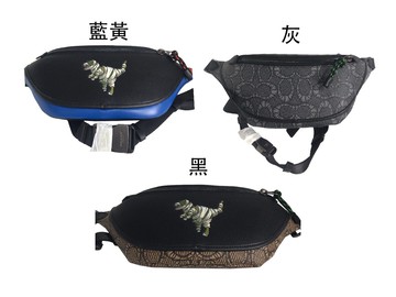 ~雪黛屋~COACH 腰包中容量國際正版保證進口防水防刮皮革品卡購證塵套提袋等候10-15日C69281