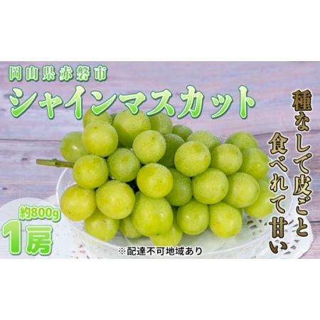 ふるさと納税 ぶどう 2024年 先行予約 シャイン マスカット 1房 約800g 贈答箱 ブドウ 葡萄 フルーツ 果物 岡山 赤磐市産 農マル園芸 あかいわ農.. 岡山県赤磐市