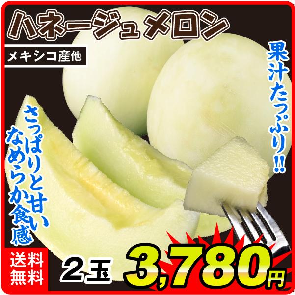 メロン 2玉 ハネージュメロン メキシコ産他 送料無料 食品