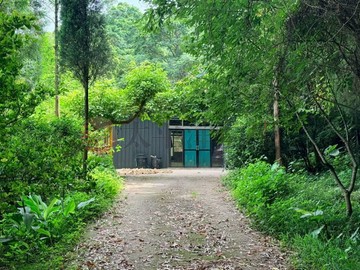 北埔山林秘境農+建地｜大坪數山林美地｜新竹縣北埔鄉神木段