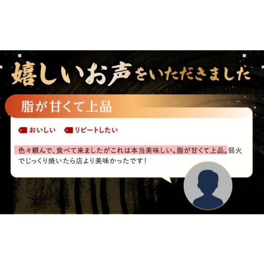 ふるさと納税 長崎県 波佐見町 A5ランク サーロイン ステーキ 140g×2枚 サイコロ ステーキ 130g×2P セット 長崎和牛 [NA79] 父の日