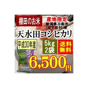 産地指定新潟県胎内市（旧黒川村産） 棚田米 天水田コシヒカリ10kg（5kgx2袋）（令和3年産）