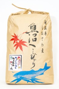 天日干しはさ掛け米 極上絶品　南魚沼産コシヒカリ白米５kgクラフト袋　送料無料　御歳暮・御年賀　贈物　熨斗　プレミアムライセンス認