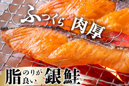 訳あり 銀鮭 切身 約2kg [宮城東洋 宮城県 気仙沼市 20562683] 鮭 海鮮 規格外 不揃い さけ サケ 鮭切身 シャケ 切り身 冷凍 家庭用 訳アリ おかず 弁当 支援 サーモン 銀鮭切り身 魚 わけあり