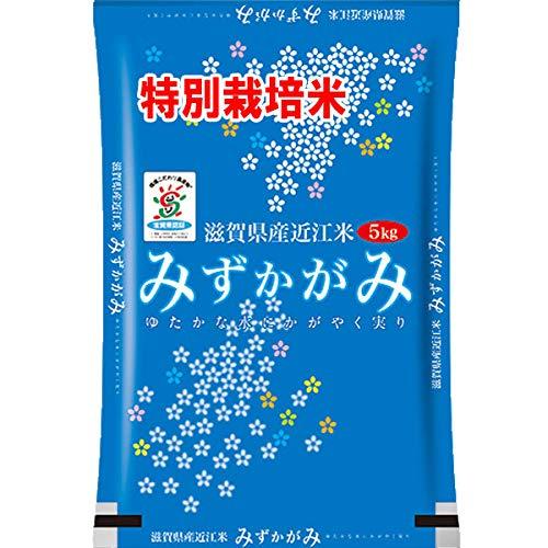 新米 令和5年産 特別栽培米 滋賀県産 みずかがみ 5kg 近江米 認証米 (玄米のまま（5kg）)