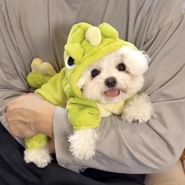 出清不補 台灣熱銷 小恐龍變身小狗狗衣服 寵物保暖衣 貓咪外出服 寵物外出服 狗狗外出服 貓咪寵物衣服 冬季法蘭絨保暖