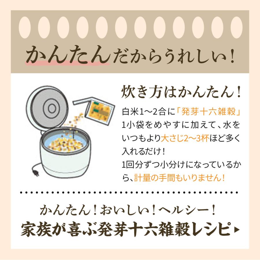 発芽十六雑穀 お徳用サイズ 雑穀米 白米に 混ぜて炊くだけ 雑穀 きび あわ ひえ 国産 混ぜるだけ 鉄分 タンパク質 健康食品