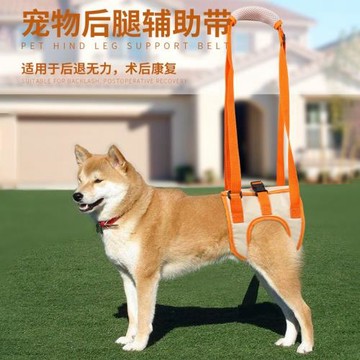 亞馬遜新品后腿輔助帶高齡老年犬殘疾犬康復鍛煉帶上樓協助帶廠家