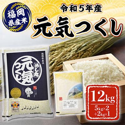 ふるさと納税 朝倉市 令和5年産 元気つくし 12kg