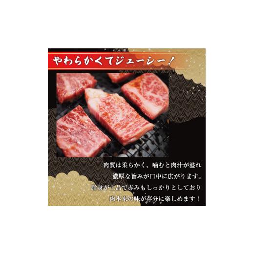 ふるさと納税 福岡県 添田町 博多和牛サーロインステーキセット 500g(250g×2枚) [a0079] 株式会社Meat Plus ※配送不可：離島添田町 ふるさと納税