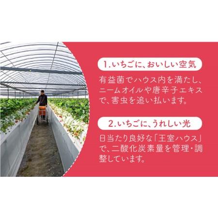 ふるさと納税 王様のいちご 摘みたてこおりいちご 1kg（冷凍いちご）いちごさん さがほのかフルーツ 果物 イチ.. 佐賀県江北町