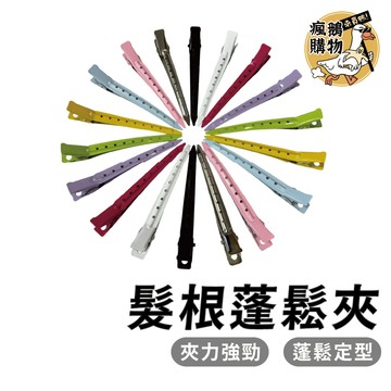 髮根蓬鬆夾 蓬鬆夾 瀏海夾 夾子 固定夾 美髮夾子 瀏海定型 蓬鬆夾 髮根定位夾 瀏海蓬鬆夾 髮根夾 蓬鬆 瀏海夾