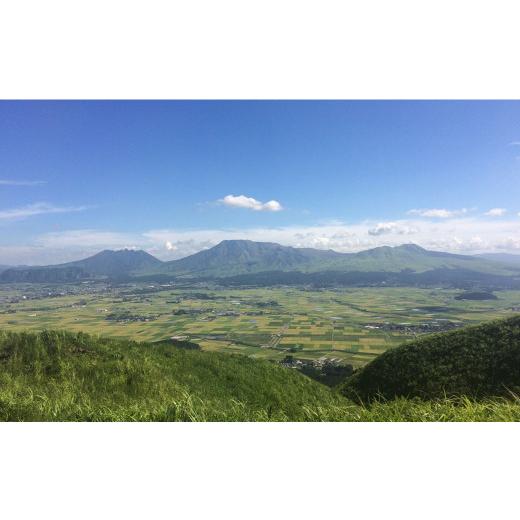 ふるさと納税 熊本県 熊本市 天草大王 地鶏鍋セット(スープ付き) もも むね スライス つみれ