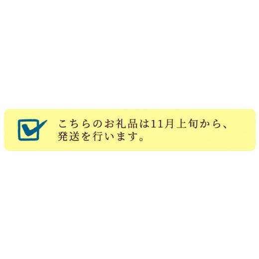 ふるさと納税 鹿児島県 いちき串木野市 SA-179鹿児島黒豚生ウインナー3種×4セット