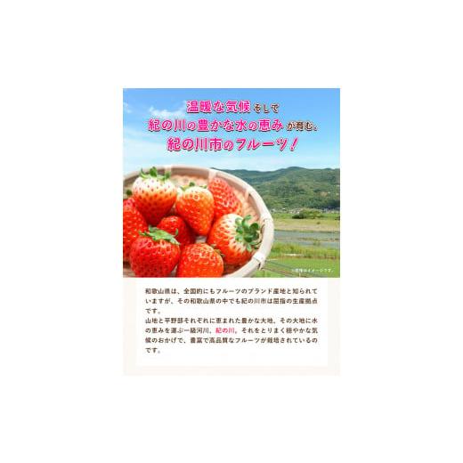 ふるさと納税 和歌山県 紀の川市 さちのかいちご 約1kg JA紀の里農業協同組合 《2024年2月上旬-3月末頃より順次出荷》 和歌山県 紀の川市 果物 フルーツ