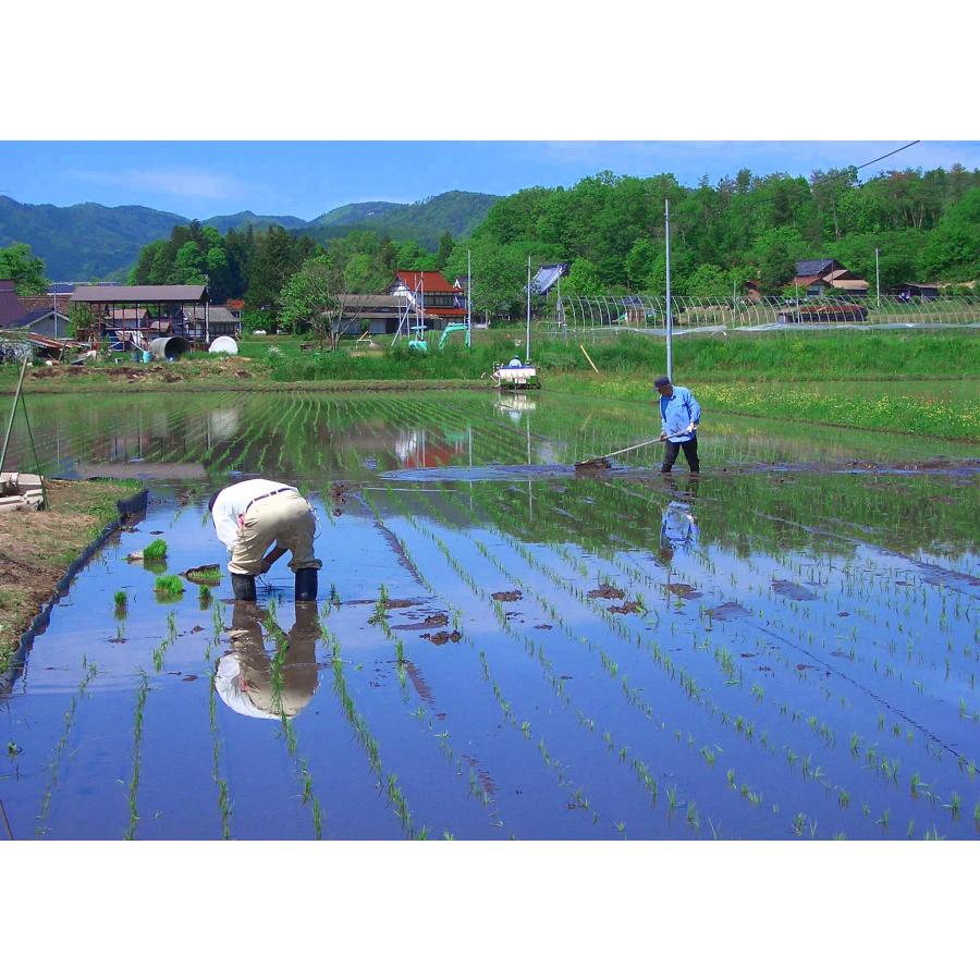 広島県産 ファーム永田のコシヒカリ 白米 30kg(5kg×6) 令和5年産 安心栽培  送料無料 （※北海道・東北・沖縄・離島を除く）お米 米