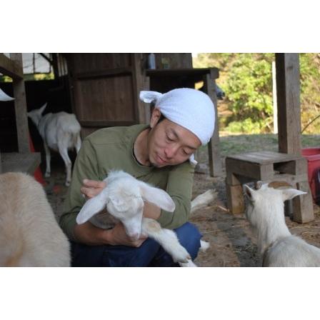 ふるさと納税 カマンベールチーズ 約100g×3パック 岡山県新見市