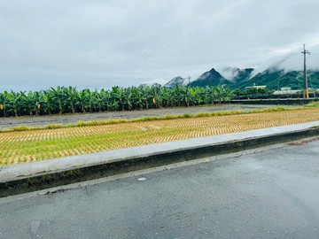 美濃區/低總價/特定農業區農牧用地✨起峰了~追宅｜高雄市美濃區美濃段