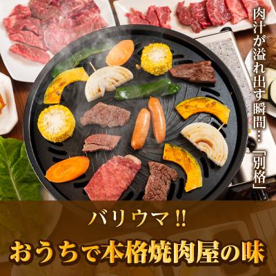 ふるさと納税 唐津市 BBQや焼肉に!佐賀牛A5〜A4　ロース(サーロイン・リブロース・肩ロース)焼肉用大判カット500g