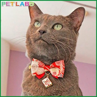Amo.k(アモワークス)猫用首輪・歌舞伎カラー　ペット ニャンコ 用品 キャット グッズ カラー 胴輪 人気