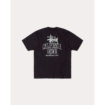 AirRoom 正品現貨 2025AW STUSSY CALI GROWN TEE 加州 水洗 短T 1905162