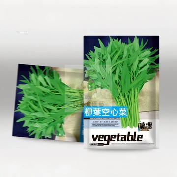 🌱【原裝空心菜種子】柳葉空心菜 親測出芽率超85% 耐高溫 早熟品種 速生快長 易種植 通菜 抗病性強 盆栽蔬菜種子