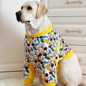 大型犬護肘服秋冬居家狗狗護肘服拉布拉多護關節衣服短款護肘服