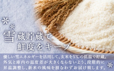  雪蔵工房 （ゆめぴりか10kg、おぼろづき10kg、ななつぼし10kg）定期便 3品種味わい 10kg×3回