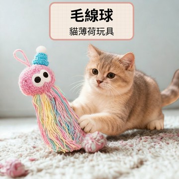 ☀️貓狗市集☀️貓玩具 逗貓玩具 毛線球 耐抓耐咬 寵物玩具 解悶