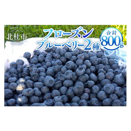 ふるさと納税 山梨県 北杜市 ビッグりサイズの『フローズンブルーベリー（冷凍ブルーベリー）』400g×2品種