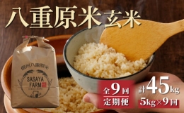 八重原米5kg（5kg×1袋）玄米