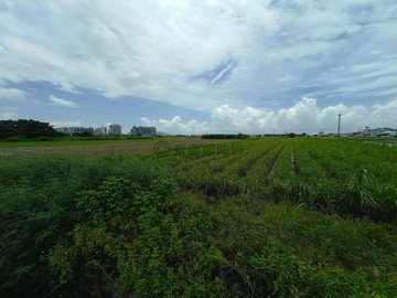 高雄大學旁臨路投資自用皆宜優質農地｜高雄市橋頭區頂塩田段